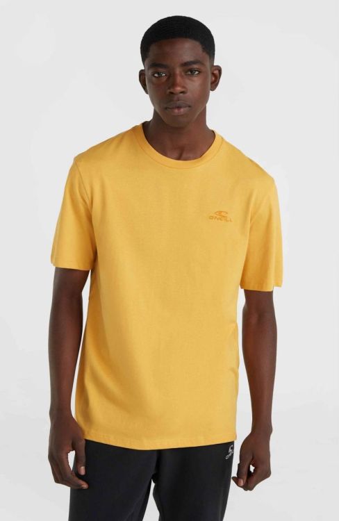 O'neill O'NEILL SMALL LOGO T-SHIRT (2850225) - Bluesand New&Outlet 