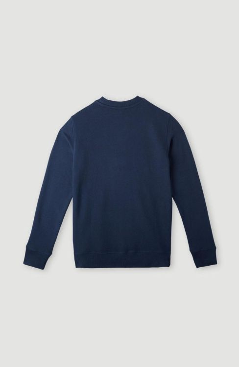 O'neill SURF STATE SWEATSHIRT (4750031) - Bluesand New&Outlet 