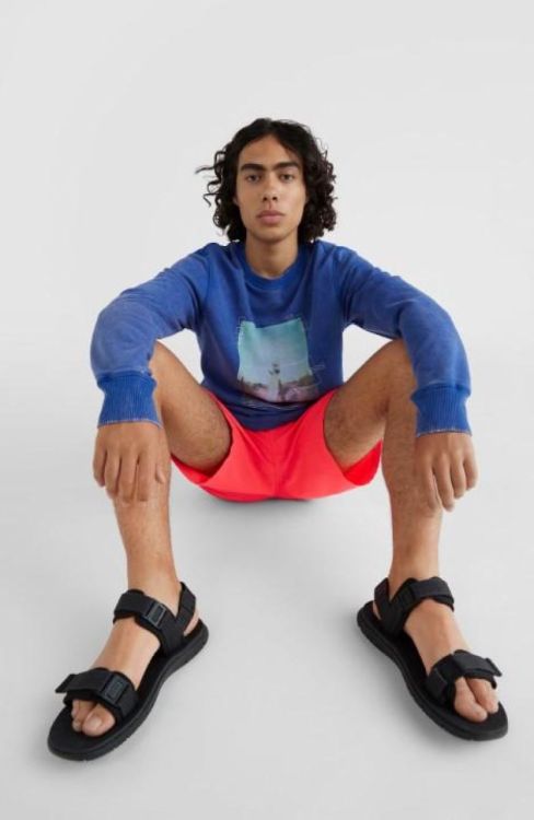 O'neill SURFBOARD CREW SWEATSHIRT (2750017) - Bluesand New&Outlet 