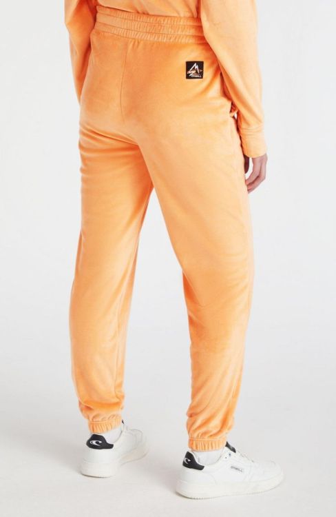 O'neill VELOUR JOGGER PANTS (1550079) - Bluesand New&Outlet 