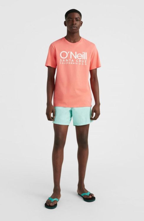 O'neill Vert 16 (N03200) - Bluesand New&Outlet 