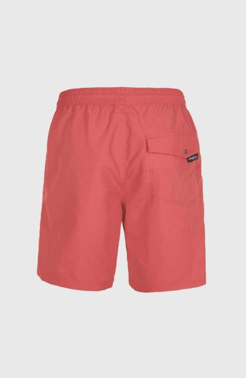 O'neill Vert Swim Shorts (N03200) - Bluesand New&Outlet 