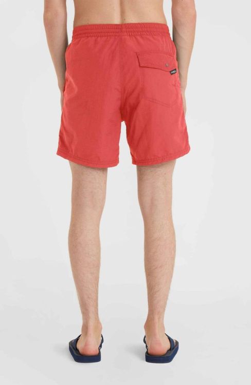 O'neill Vert Swim Shorts (N03200) - Bluesand New&Outlet 