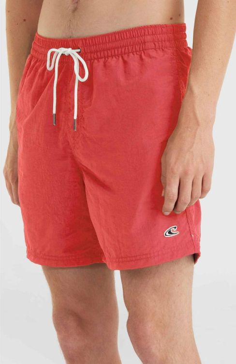 O'neill Vert Swim Shorts (N03200) - Bluesand New&Outlet 