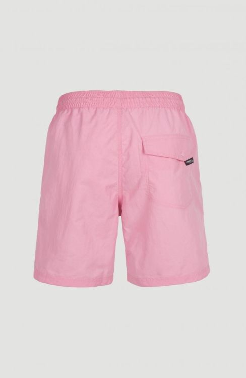 O'neill Vert Swim Shorts (N03200) - Bluesand New&Outlet 