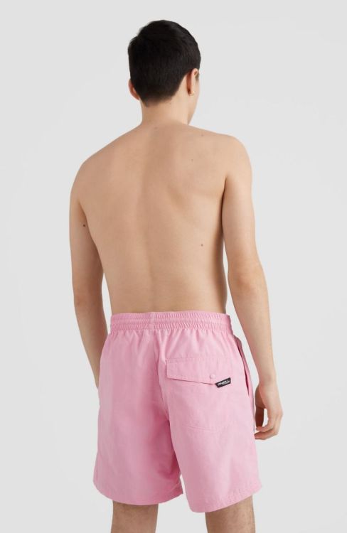 O'neill Vert Swim Shorts (N03200) - Bluesand New&Outlet 