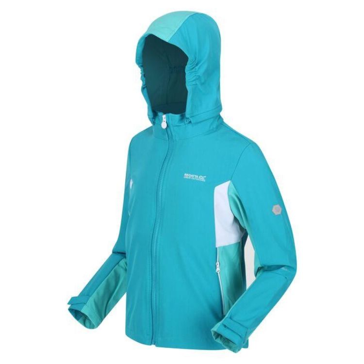 Regatta Acidity V (RKL109) - Bluesand New&Outlet 