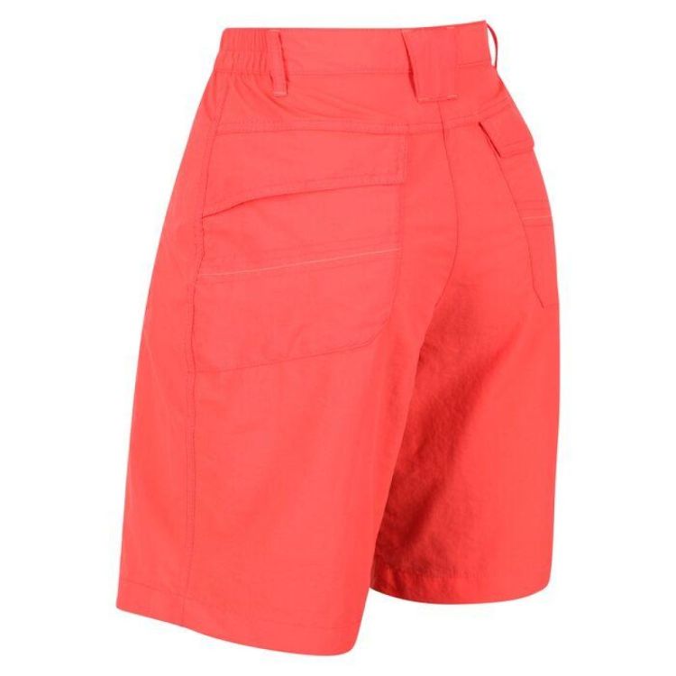 Regatta Chaska Short II (RWJ226) - Bluesand New&Outlet 