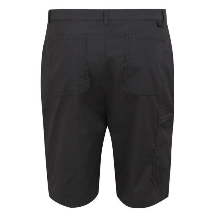 Regatta Dalry Short (RMJ305) - Bluesand New&Outlet 