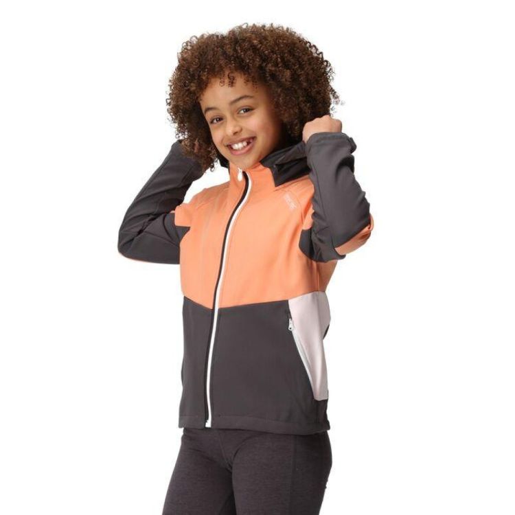 Regatta Haydenbury (RKL121) - Bluesand New&Outlet 