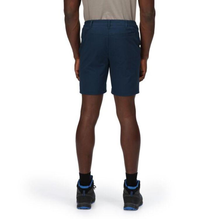 Regatta highton shorts online